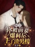陆总,你被前妻爆料后上了渣男榜