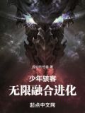 美漫:少年骇客的无限融合进化