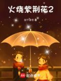 火烧紫荆花2是否好看