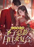 心尖宠归来,圣子总裁日日求复合 一只铁牛