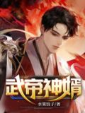 神眸武帝 小说