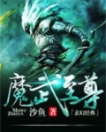 魔武至尊 小说