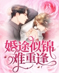 婚途似锦漫画