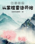 大唐妖仙，从掌控雷法开始