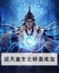 重生逆宠小娇妻
