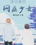 夫人是个网瘾少女的小说
