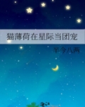 猫薄荷在星际当团宠