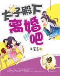太子殿下离婚吧