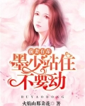 小说墨少,你前妻又来复婚了