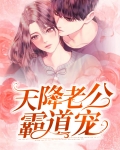 天降老公霸道宠免费阅读