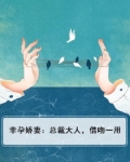 幸孕娇妻：总裁大人，借吻一用