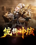 统御神域小说