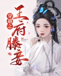 穿越成王府炮灰小妾的小说