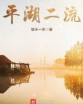 平湖二流免费阅读