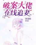 破案大佬在线追妻 百度网盘