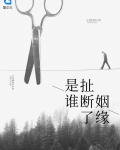 是谁扯断了姻缘全文阅读