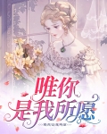 唯你是我所愿小说阅读