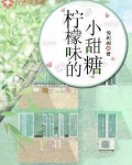 柠檬味的小甜糖简介