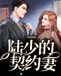 替嫁新娘,陆少的契约妻全文阅读