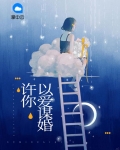 许你以爱谋婚江澜灯
