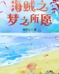 海贼之梦之所愿