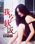 倒插门怎么描述