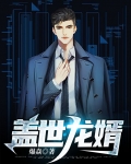 盖世龙婿苏南天免费听书