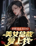 辞职递成表白信,美女总裁爱上我
