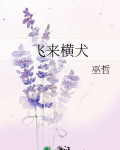 飞来横犬