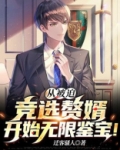 从被迫竞选赘婿开始无限鉴宝！