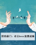 炽焰豪门：老公boss宠妻成瘾