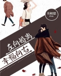离婚向左,幸福向右文免费阅读
