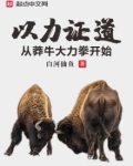 以力证道：从莽牛大力拳开始