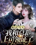 相亲当天,我和总裁上司领证了