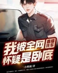 直播洗车:我被全网怀疑是卧底全文免费阅读