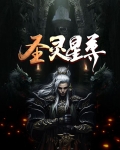 圣灵星尊下载