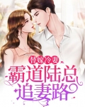 陆少霸宠妻替嫁妻txt