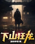 下山狂龙小说叶天