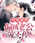 偏执老公替嫁妻
