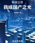 科技公司,我成国产之光!