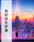我的双生姐妹