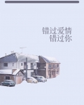 错过爱情错过你小说