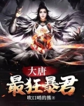 大唐至尊龙帝杨辰