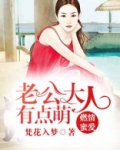 老公大人有点萌听书