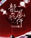 龙飞凤仵