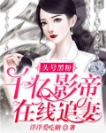 头号黑粉 小说
