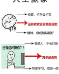 单身狗的春天