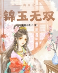 清穿锦玉无双小说