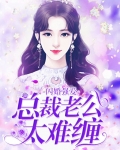 闪婚娇妻总裁老公超会宠免费版