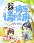 厨娘攻略：将军，请慢用